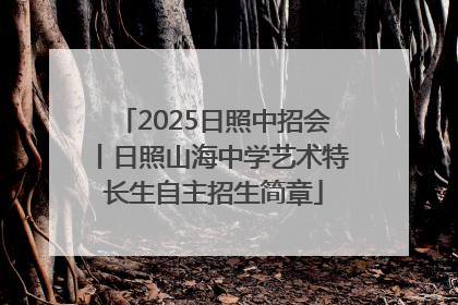 2025日照中招会丨日照山海中学艺术特长生自主招生简章