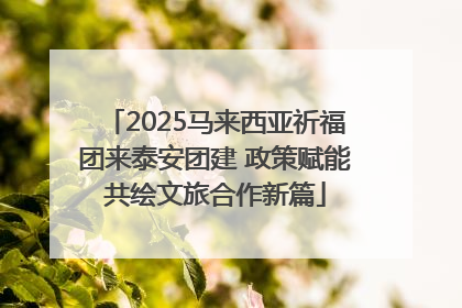 2025马来西亚祈福团来泰安团建 政策赋能共绘文旅合作新篇