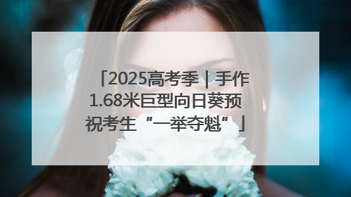 2025高考季｜手作1.68米巨型向日葵预祝考生“一举夺魁”