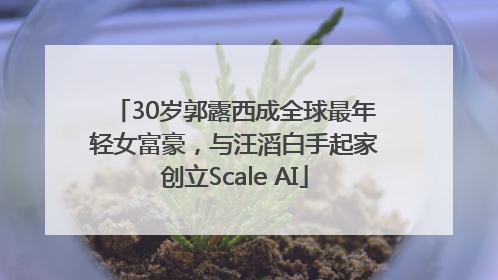 30岁郭露西成全球最年轻女富豪，与汪滔白手起家创立Scale AI