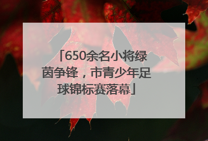 650余名小将绿茵争锋，市青少年足球锦标赛落幕