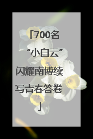700名“小白云”闪耀南博续写青春答卷