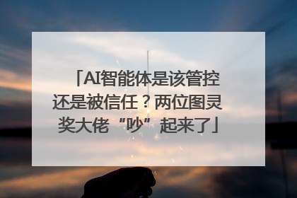 AI智能体是该管控还是被信任？两位图灵奖大佬“吵”起来了